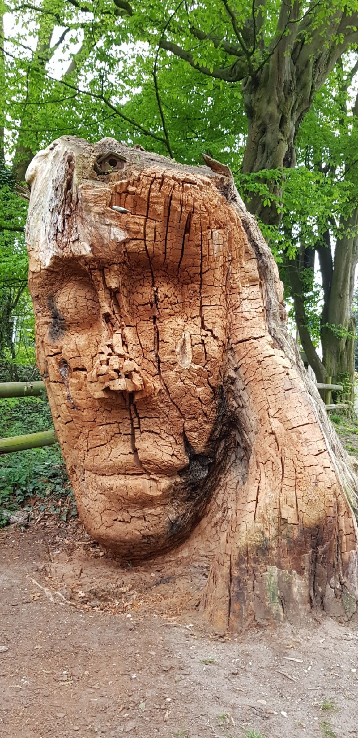 Baumkunst am Padersee | Carsten Gees